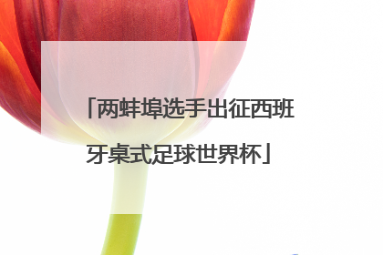 两蚌埠选手出征西班牙桌式足球世界杯