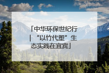 中华环保世纪行｜“以竹代塑”生态实践在宜宾