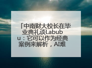 中南财大校长在毕业典礼谈Labubu：它可以作为经典案例来解析，AI难以给出答案