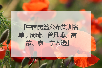 中国男篮公布集训名单，周琦、曾凡博、雷蒙、廖三宁入选