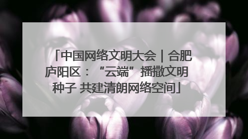 中国网络文明大会｜合肥庐阳区：“云端”播撒文明种子 共建清朗网络空间