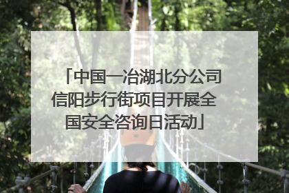 中国一冶湖北分公司信阳步行街项目开展全国安全咨询日活动