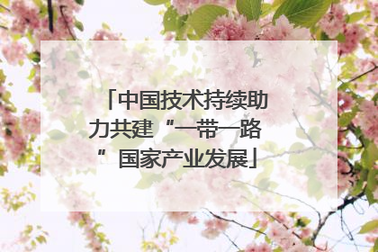 中国技术持续助力共建“一带一路”国家产业发展