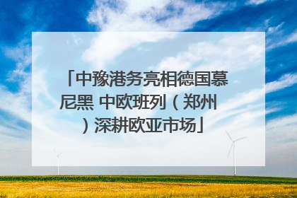 中豫港务亮相德国慕尼黑 中欧班列（郑州）深耕欧亚市场