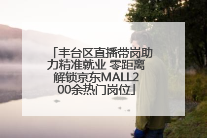 丰台区直播带岗助力精准就业 零距离解锁京东MALL200余热门岗位