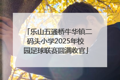 乐山五通桥牛华镇二码头小学2025年校园足球联赛圆满收官