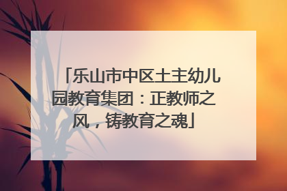 乐山市中区土主幼儿园教育集团：正教师之风，铸教育之魂