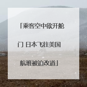 乘客空中欲开舱门 日本飞往美国航班被迫改道