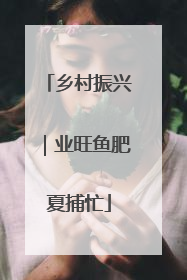 乡村振兴｜业旺鱼肥夏捕忙