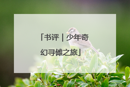 书评｜少年奇幻寻傩之旅