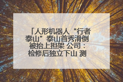 人形机器人“行者泰山”泰山首秀滑倒被抬上担架 公司：检修后独立下山 测试就是为暴露问题