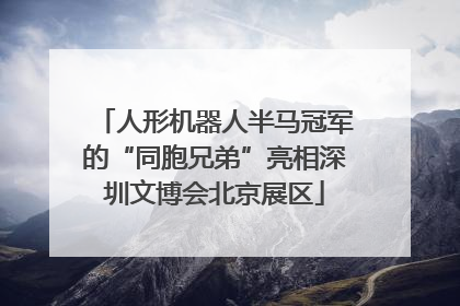 人形机器人半马冠军的“同胞兄弟”亮相深圳文博会北京展区