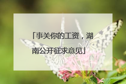 事关你的工资，湖南公开征求意见