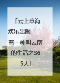 云上草海 欢乐出圈——有一种叫云南的生活之365天