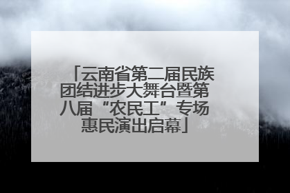 云南省第二届民族团结进步大舞台暨第八届“农民工”专场惠民演出启幕