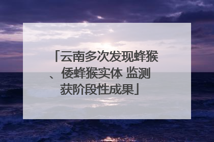 云南多次发现蜂猴、倭蜂猴实体 监测获阶段性成果