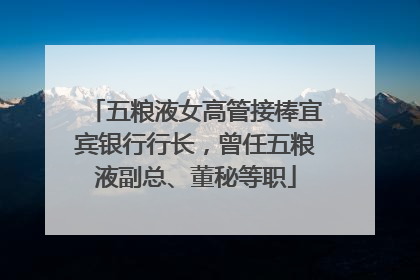 五粮液女高管接棒宜宾银行行长，曾任五粮液副总、董秘等职