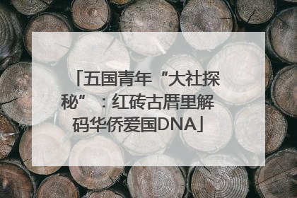 五国青年“大社探秘”：红砖古厝里解码华侨爱国DNA