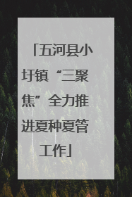 五河县小圩镇“三聚焦”全力推进夏种夏管工作