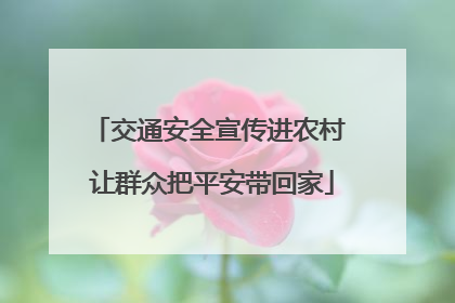 交通安全宣传进农村 让群众把平安带回家