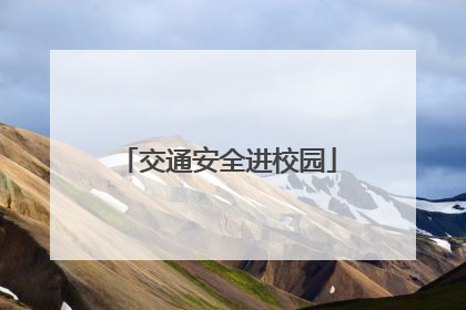 交通安全进校园