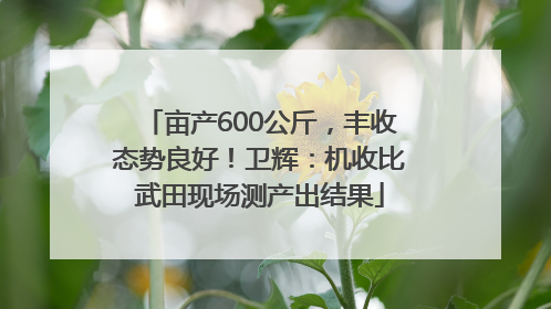 亩产600公斤，丰收态势良好！卫辉：机收比武田现场测产出结果