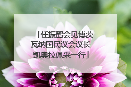 任振鹤会见博茨瓦纳国民议会议长凯奥拉佩采一行
