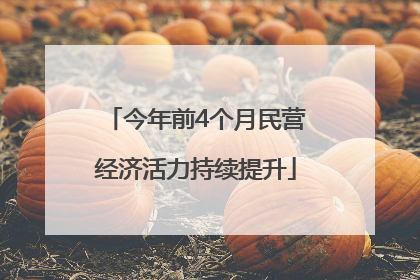 今年前4个月民营经济活力持续提升