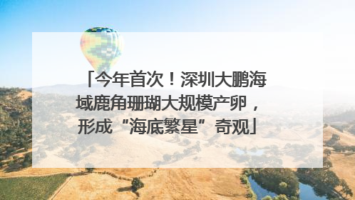 今年首次！深圳大鹏海域鹿角珊瑚大规模产卵，形成“海底繁星”奇观