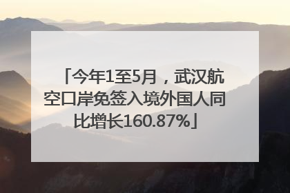 今年1至5月，武汉航空口岸免签入境外国人同比增长160.87%