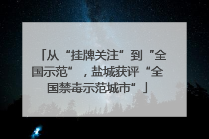 从“挂牌关注”到“全国示范”，盐城获评“全国禁毒示范城市”
