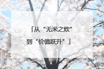 从“无米之炊”到“价值跃升”