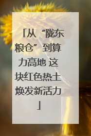 从“陇东粮仓”到算力高地 这块红色热土焕发新活力