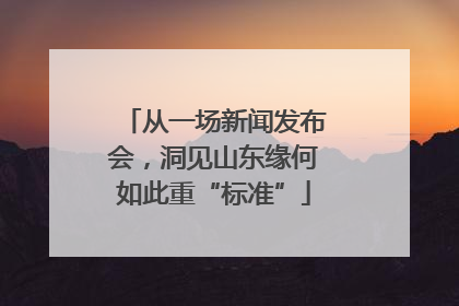 从一场新闻发布会，洞见山东缘何如此重“标准”