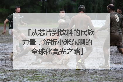 从芯片到饮料的民族力量，解析小米东鹏的全球化高光之路