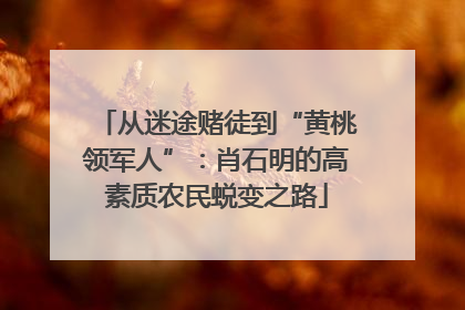 从迷途赌徒到“黄桃领军人”：肖石明的高素质农民蜕变之路