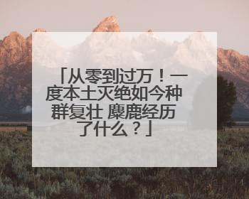 从零到过万！一度本土灭绝如今种群复壮 麋鹿经历了什么？