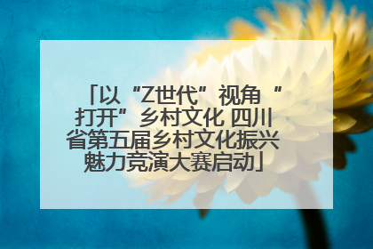 以“Z世代”视角“打开”乡村文化 四川省第五届乡村文化振兴魅力竞演大赛启动
