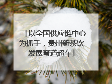 以全国供应链中心为抓手，贵州新茶饮发展弯道超车
