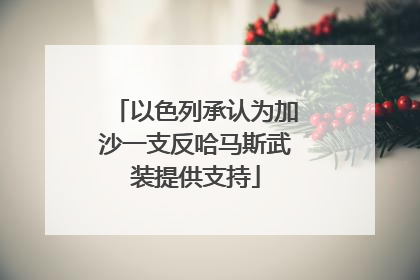 以色列承认为加沙一支反哈马斯武装提供支持