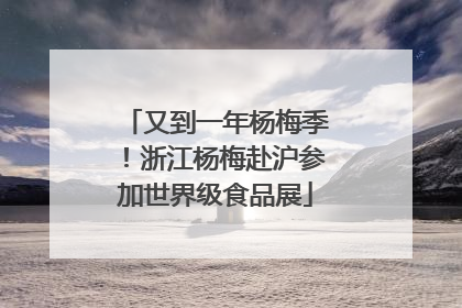 又到一年杨梅季！浙江杨梅赴沪参加世界级食品展