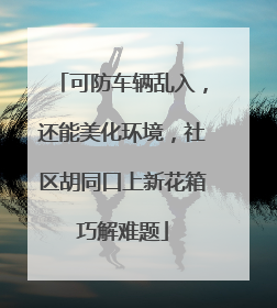 可防车辆乱入，还能美化环境，社区胡同口上新花箱巧解难题