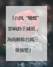 台风“蝴蝶”影响趋于减弱，海南解除台风三级预警