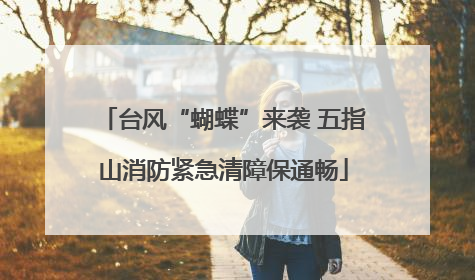 台风“蝴蝶”来袭 五指山消防紧急清障保通畅