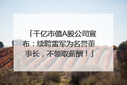 千亿市值A股公司宣布：续聘雷军为名誉董事长，不领取薪酬！