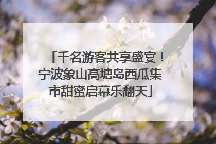 千名游客共享盛宴！宁波象山高塘岛西瓜集市甜蜜启幕乐翻天