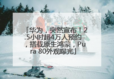 华为，突然宣布！2.5小时超4万人预约，搭载原生鸿蒙，Pura 80外观曝光