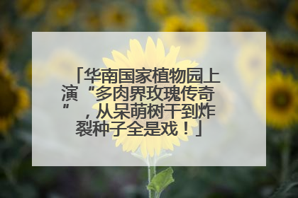 华南国家植物园上演“多肉界玫瑰传奇”，从呆萌树干到炸裂种子全是戏！