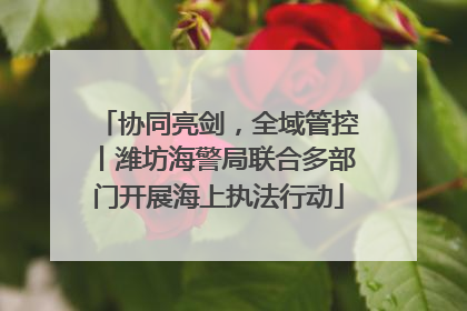 协同亮剑，全域管控丨潍坊海警局联合多部门开展海上执法行动