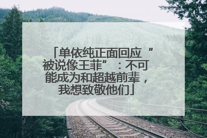 单依纯正面回应“被说像王菲”：不可能成为和超越前辈，我想致敬他们